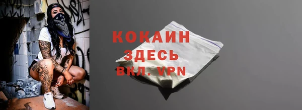 прущие грибы Козельск