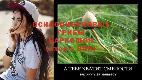 дживик Киреевск