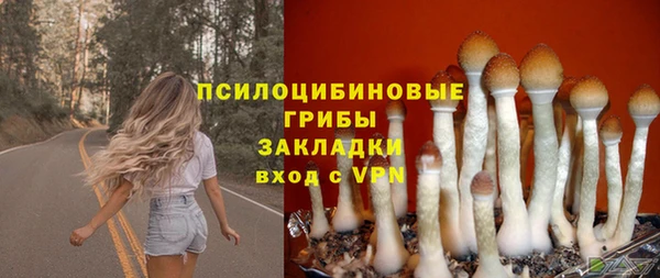 прущие грибы Козельск