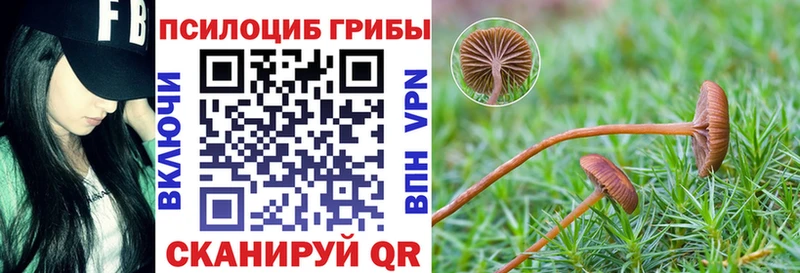 Галлюциногенные грибы прущие грибы Миньяр
