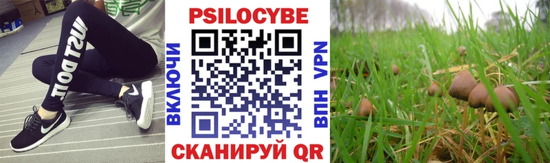 Купить где  Миньяр  Галлюциногенные грибы мухоморы 